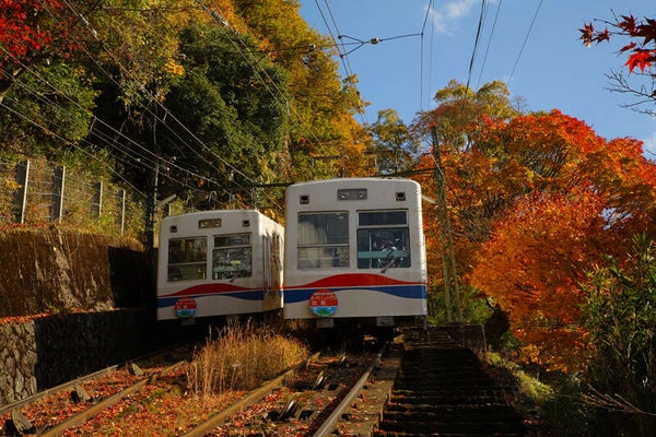 【和歌山駅東口発】 4つの乗り物をお楽しみ!秋の比叡山横断ルートとびわ湖畔のホテルでローストビーフ付ランチビュッフェ 日帰り3